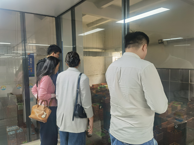 Quality Agreement between Guangxi Wutou International Trade Co., Ltd. and Hetian Baolong