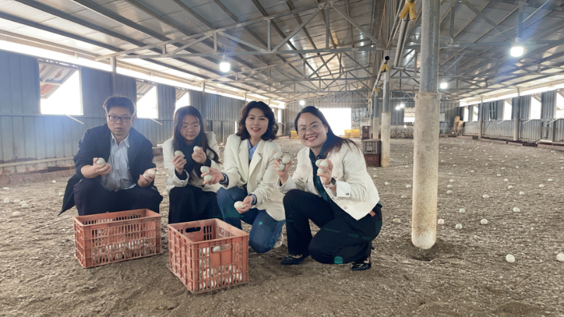 From source to table | Shenzhen Operation Center team explores the ecological industry chain of Hetian Baolong sea duck eggs