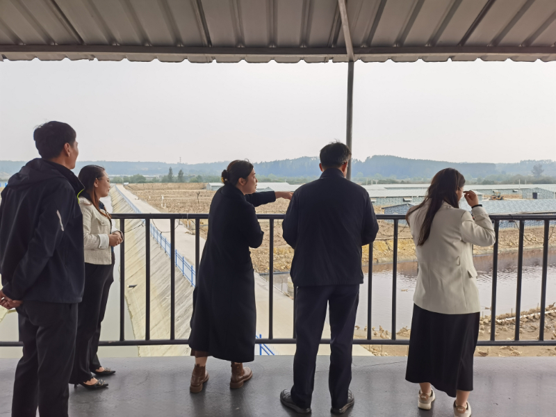 From source to table | Shenzhen Operation Center team explores the ecological industry chain of Hetian Baolong sea duck eggs