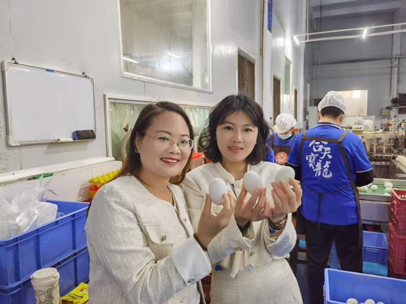 From source to table｜Shenzhen Operation Center team explores the ecological industry chain of Hetian Baolong sea duck eggs