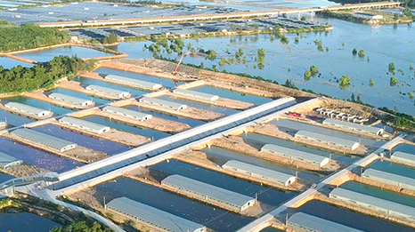 Guangxi Hetian Baolong Food Co., Ltd.