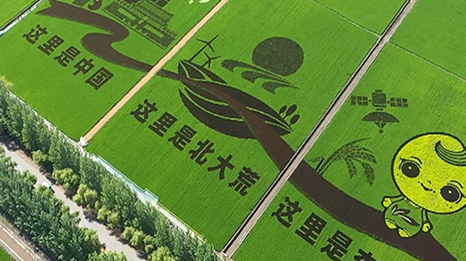 Guangxi Hetian Baolong Food Co., Ltd.