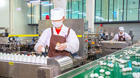Guangxi Hetian Baolong Food Co., Ltd.