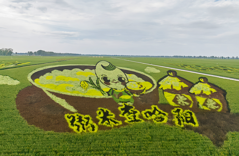 Chahayang rice planting base + freeze-dried food processing plant