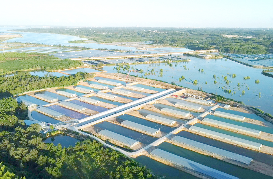 Chahayang Rice Planting Base + Freeze-dried Food Processing Plant