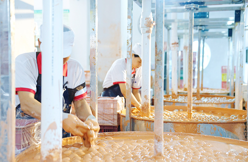 Chahayang Rice Planting Base + Freeze-dried Food Processing Plant