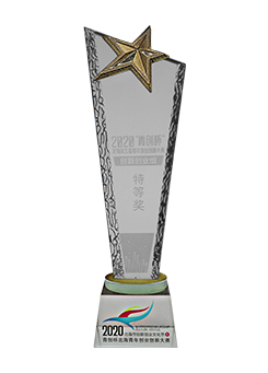 2020 Youth Entrepreneurship Cup Special Award