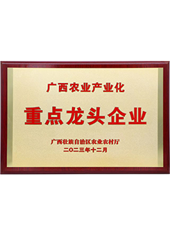 Guangxi Agricultural Industrialization Key Leading Enterprise